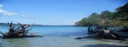 Andaman Photos