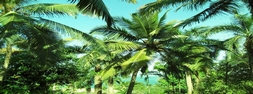 Goa Photos