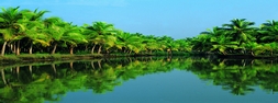 South India Photos