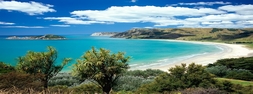 New Zealand Photos